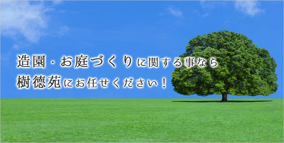 造園・お庭づくりに関する事なら樹徳苑にお任せください！